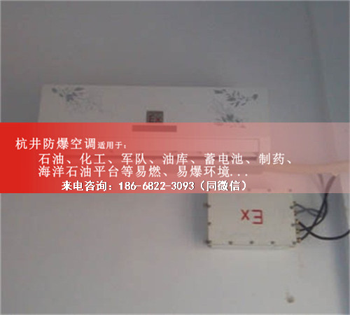 厂修理车间防爆空调机案例图